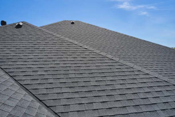 Best Roof Repair  in Chapin, SC
